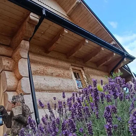 Gilowicka - Beskid Zywiecki Hébergement de vacances Gilowice (Zywiec)